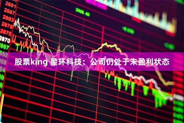 股票king 星环科技：公司仍处于未盈利状态